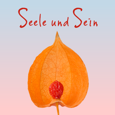 Der **Podcast**