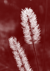 Stille und die liebe zum einfachen 2 dup