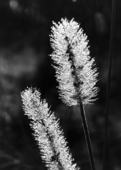 Stille und die liebe zum einfachen 2