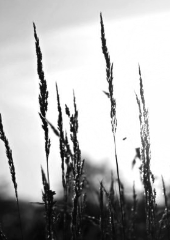 Stille und die liebe zum einfachen