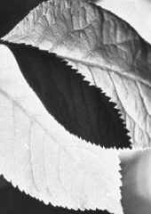 Stille und verbundenheit
