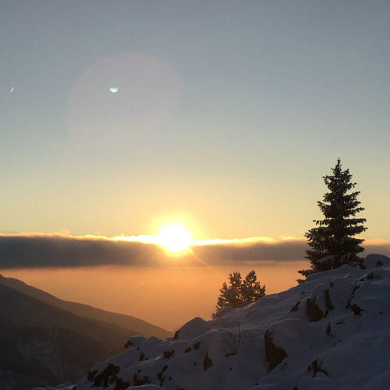 Stille und Mitgefühl